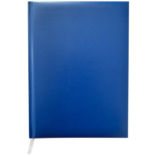 Щоденник недатований MASTER, А5, клітинка, синій