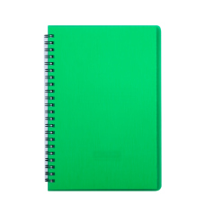 Зошит для нотаток RAIN, В5, 80 арк., клітинка, пластикова обкладинка, зелений